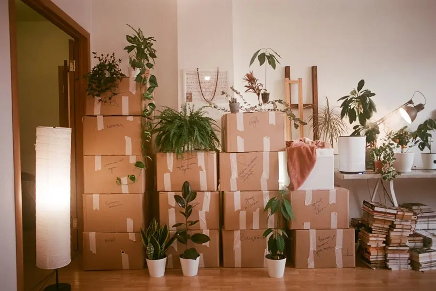 A room part-way through a move: roughly a dozen cardboard boxes sealed with tape and marked in handwriting are stacked chest-high against a pale wall, with potted houseplants standing on the wood floor in front of them, a tall cylindrical paper floor lamp glowing at the left, and leaning stacks of books at the right.